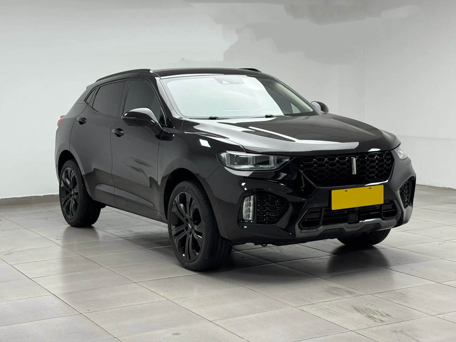 2017 Wey VV5